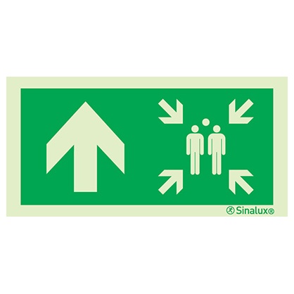 Signalisation drapeau, point de rassemblement – flèche haut, PVC photoluminescent