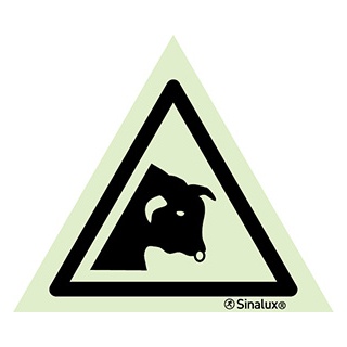 Signalisation une face, signal de danger – taureau, PVC photoluminescent