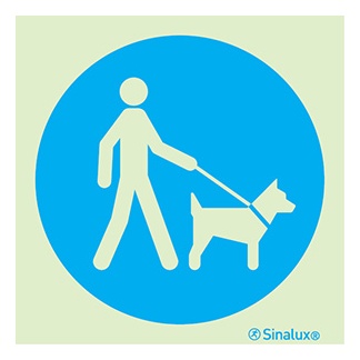 Signalisation une face, tenir les chiens en laisse, PVC photoluminescent